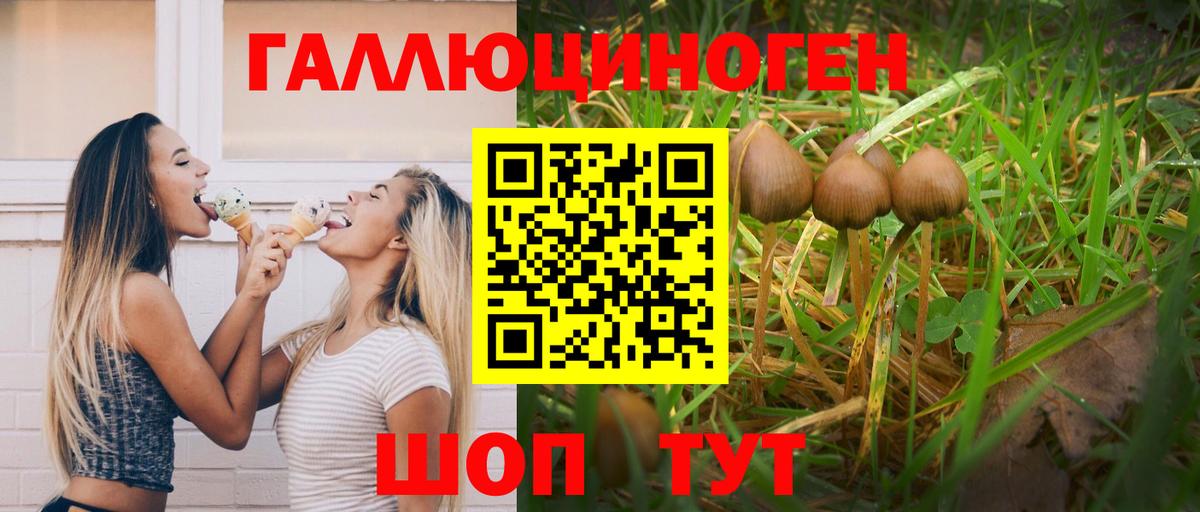 Галлюциногенные грибы Magic Shrooms Курчалой
